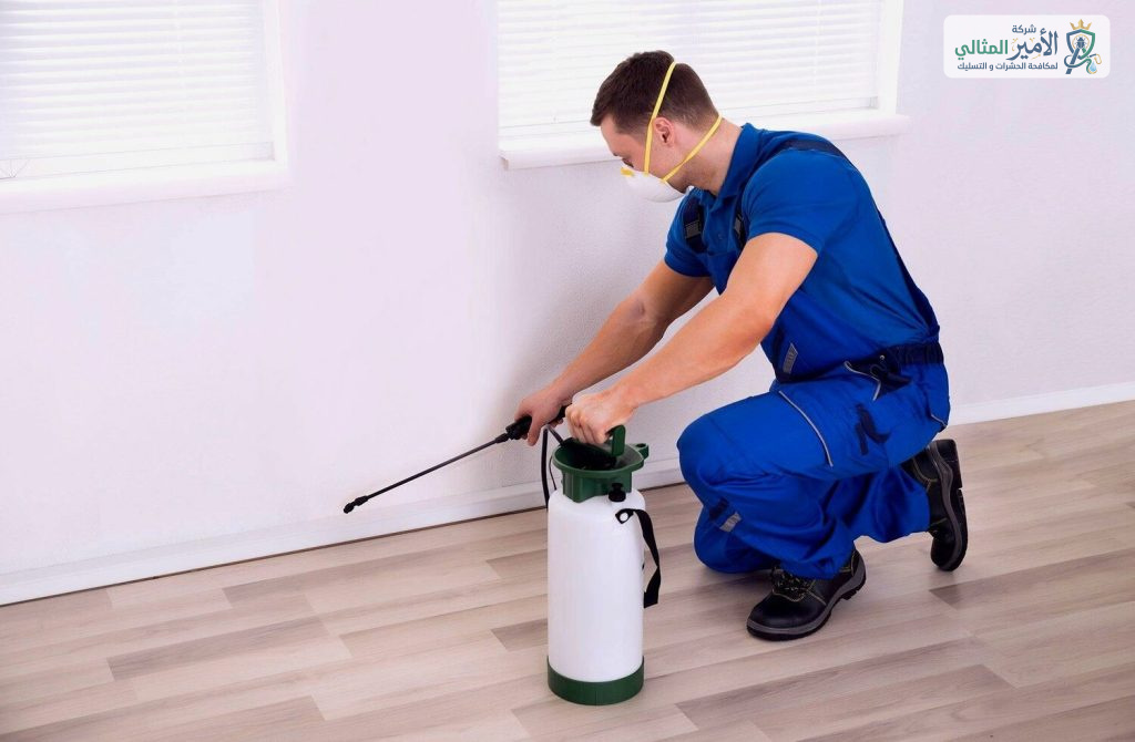 شركة مكافحة الصراصير بالدمام والخبر والقطيف والظهران والضاحية | شركة الامير المثالي