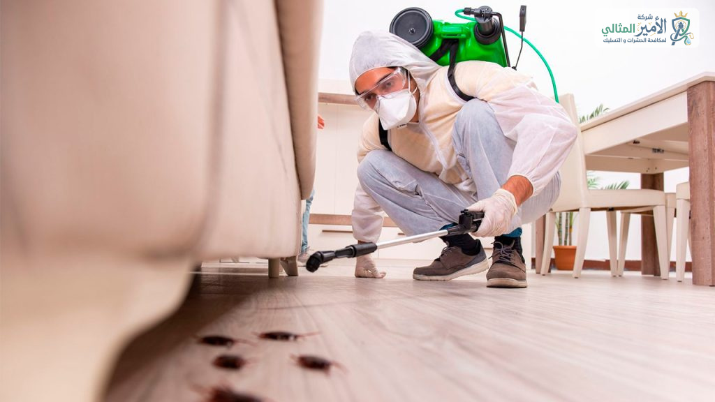 شركة مكافحة الصراصير بالدمام والخبر والقطيف والظهران والضاحية | شركة الامير المثالي