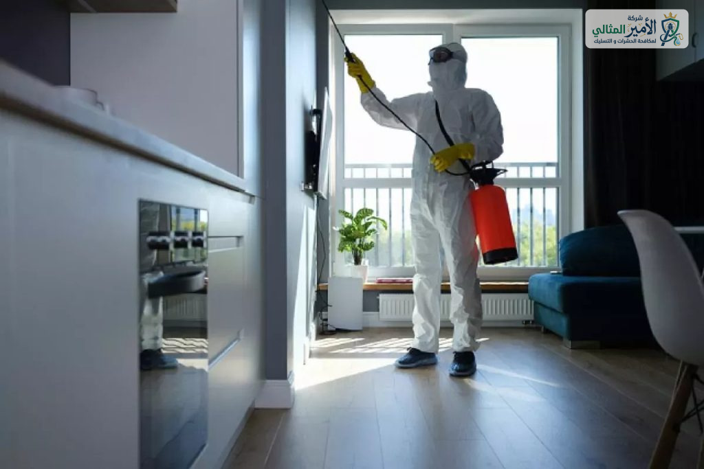 شركة مكافحة الصراصير بالدمام والخبر والقطيف والظهران والضاحية | شركة الامير المثالي