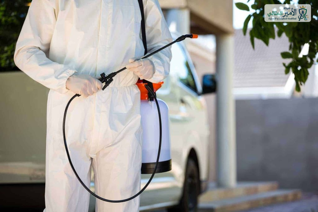 شركة رش دفان بالدمام والخبر والقطيف والظهران والضاحية | شركة الامير المثالي