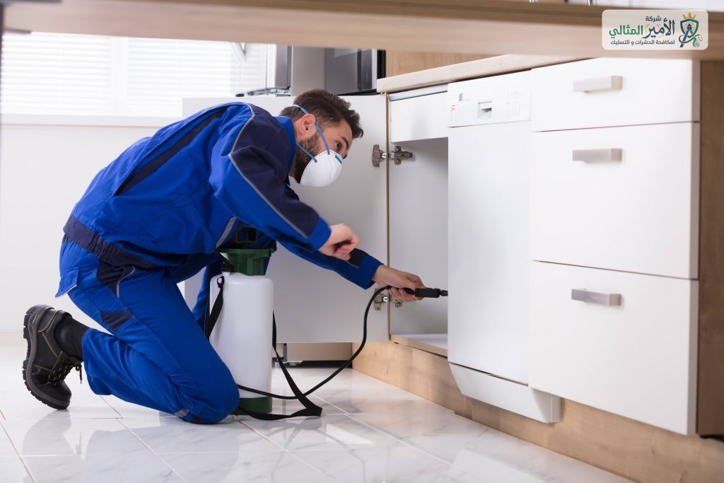 شركة مكافحة حشرات بالدمام والخبر والقطيف والظهران والضاحية | شركة الامير المثالي