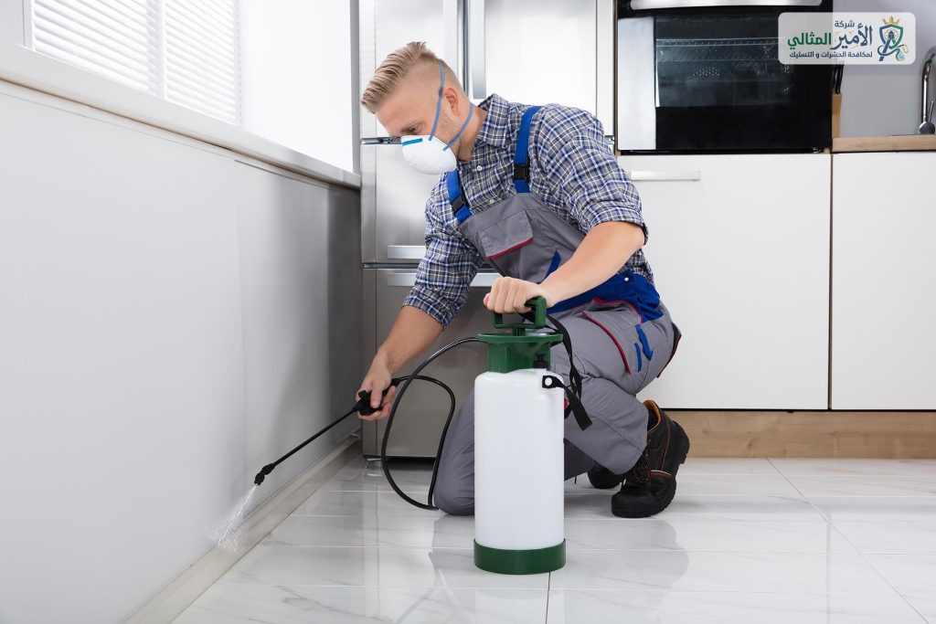 شركة مكافحة فئران بالدمام والخبر والقطيف والظهران والضاحية | شركة الامير المثالي