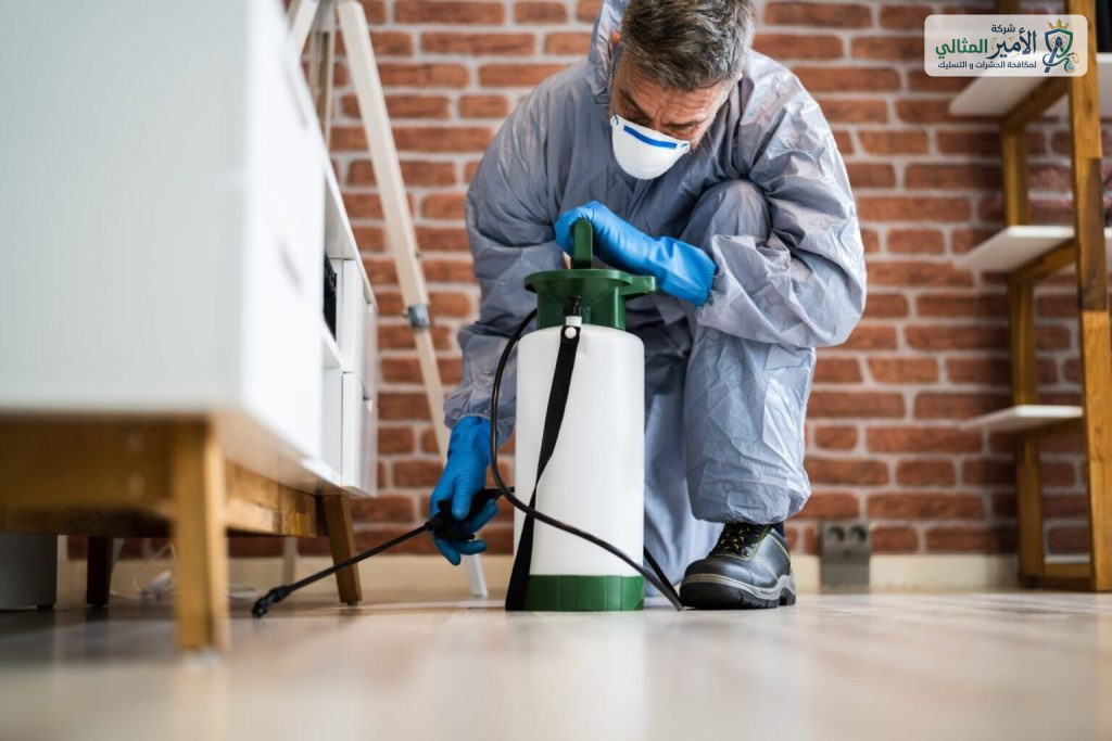 شركة مكافحة حشرات بالدمام والخبر والقطيف والظهران والضاحية | شركة الامير المثالي