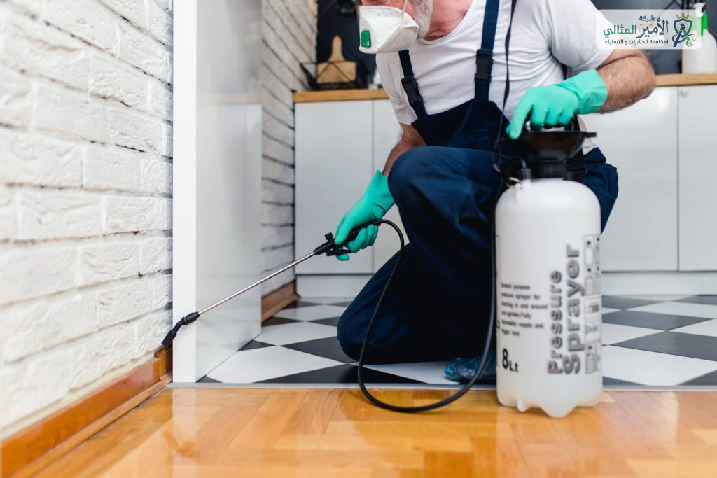 شركة مكافحة حشرات بالدمام والخبر والقطيف والظهران والضاحية | شركة الامير المثالي