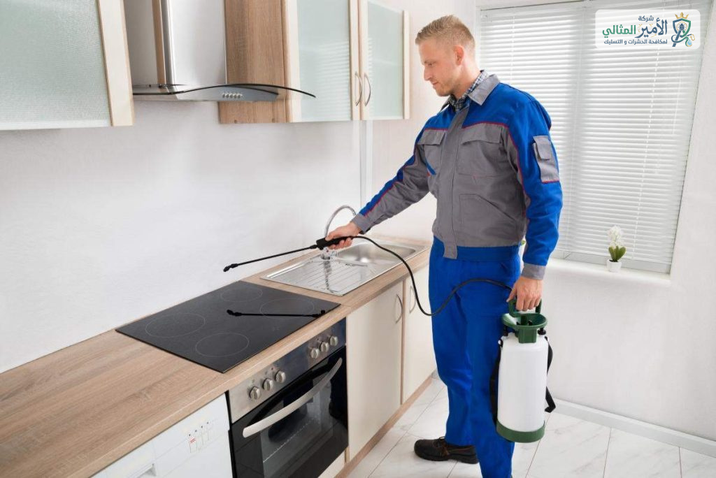 شركة مكافحة بق الفراش بالدمام والخبر والقطيف والظهران والضاحية | شركة الامير المثالي