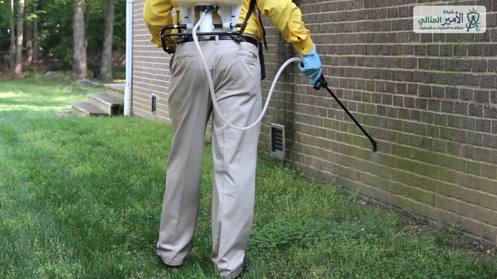 شركة مكافحة النمل الابيض بالدمام والخبر والقطيف والظهران والضاحية | شركة الامير المثالي