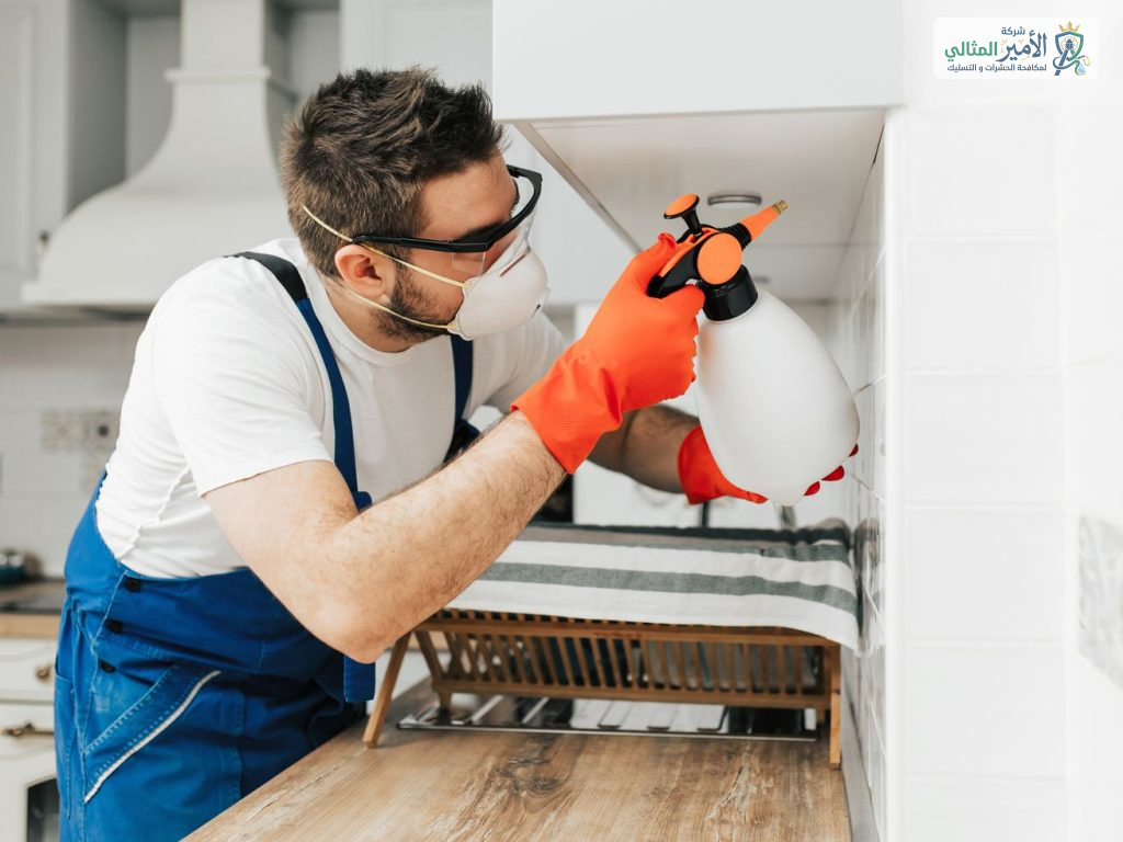 شركة مكافحة حشرات بالدمام والخبر والقطيف والظهران والضاحية | شركة الامير المثالي